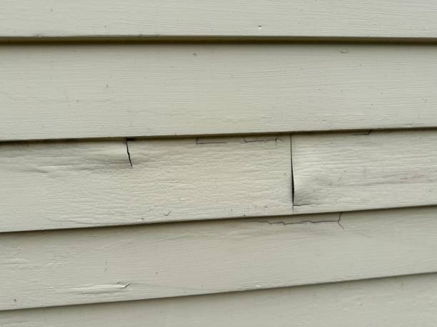 Best Composite Siding  in Grapeland, TX